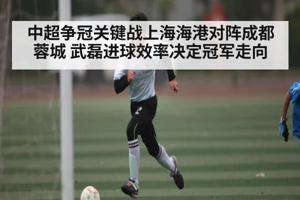 中超争冠关键战上海海港对阵成都蓉城 武磊进球效率决定冠军走向